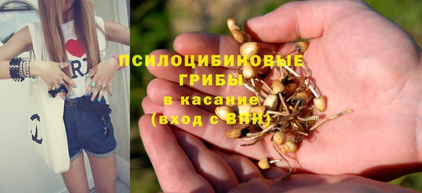экстази Алексеевка