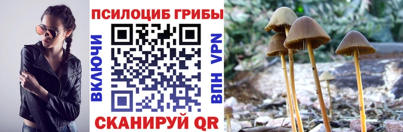 Галлюциногенные грибы GOLDEN TEACHER  Новошахтинск 