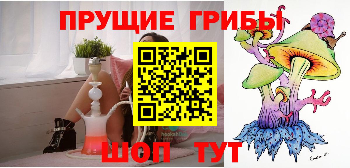 Новошахтинск  Псилоцибиновые грибы прущие грибы  Вход с VPN  Галлюциногенные грибы мицелий 