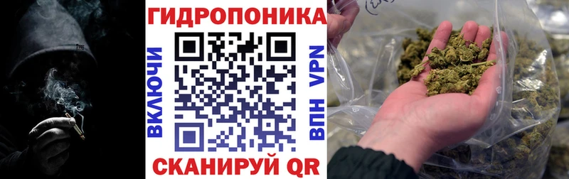 Марихуана марихуана  Новошахтинск 
